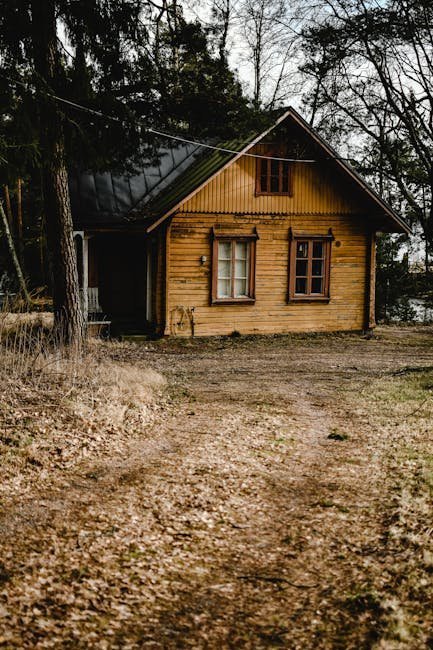 Scandinavian Cabin